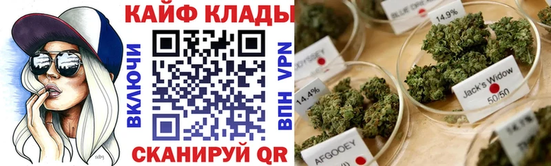 Купить наркоту Зеленогорск ГАШИШ  Марихуана  Метадон  Меф 