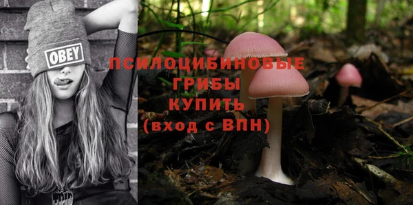 винт Гусев