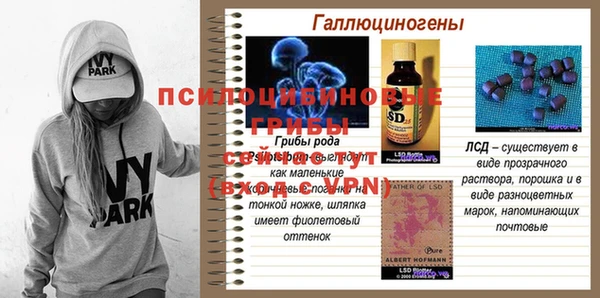 герыч Гусиноозёрск