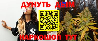 индика Можайск
