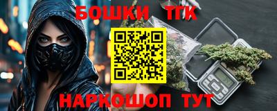индика Можайск