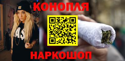 индика Можайск