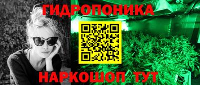 apvp Можга