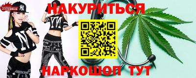 apvp Можга