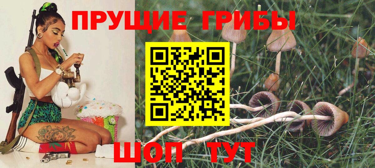 Псилоцибиновые грибы MAGIC MUSHROOMS Зеленогорск