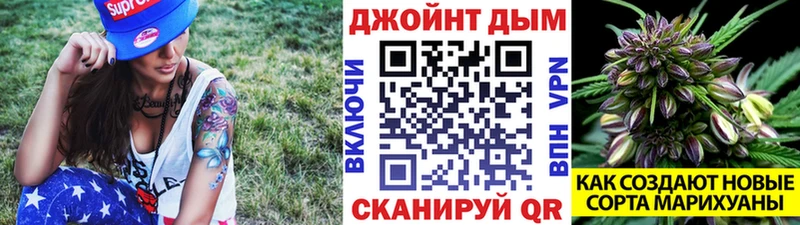 Конопля сатива  что такое   Зеленогорск 